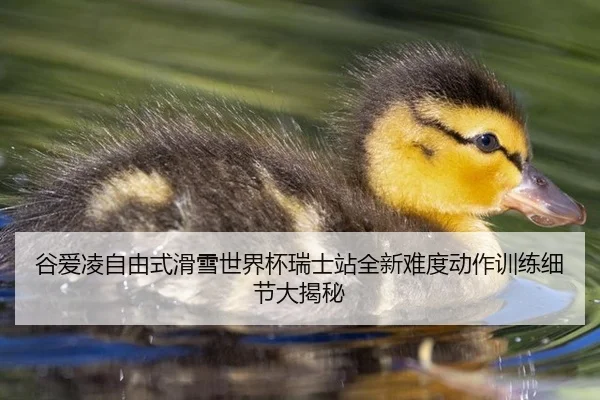 gu-ai-ling-zi-you-shi-hua-xue-shi-jie-bei-rui-shi-zhan-quan-xin-nan-du-dong-zuo-xun-lian-xi-jie-da-jie-mi-2-825.jpg