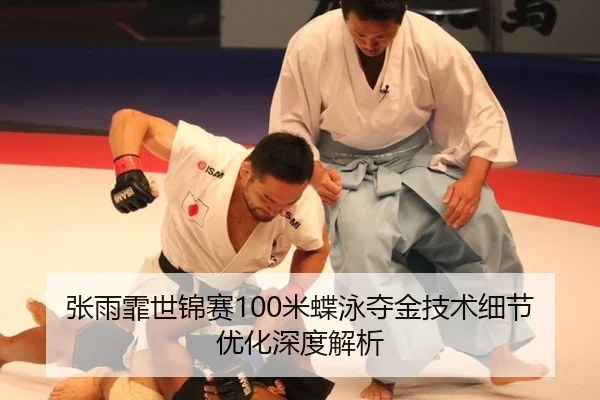 zhang-yu-fei-shi-jin-sai-mi-die-yong-duo-jin-ji-shu-xi-jie-you-hua-shen-du-jie-xi-3-116.jpg