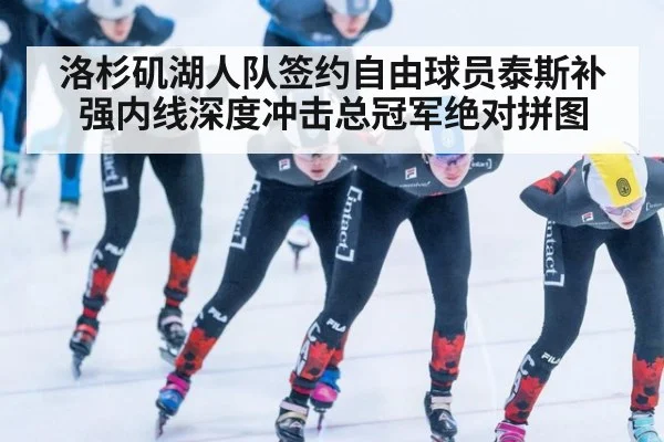 洛杉矶湖人队签约自由球员泰斯补强内线深度冲击总冠军绝对拼图
